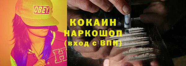 сатива Армянск