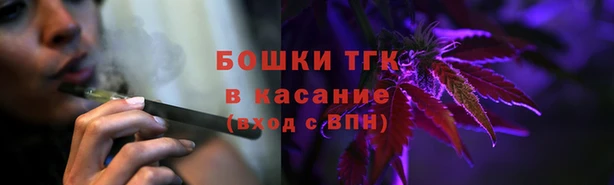 сатива Армянск