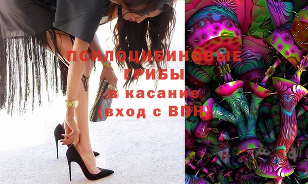 PSILOCYBIN Арсеньев