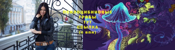 сатива Армянск