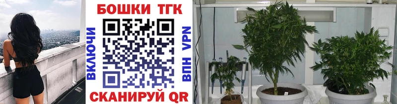 купить наркотики сайты  Сибай  Канабис ГИДРОПОН 